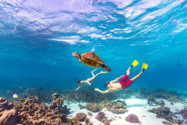 Schwimmen und Schnorcheln in der Coral Bay