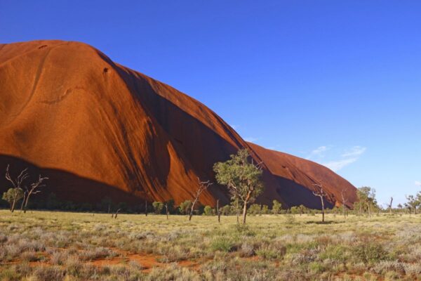 Blick auf den Uluru (Auyers Rock)
