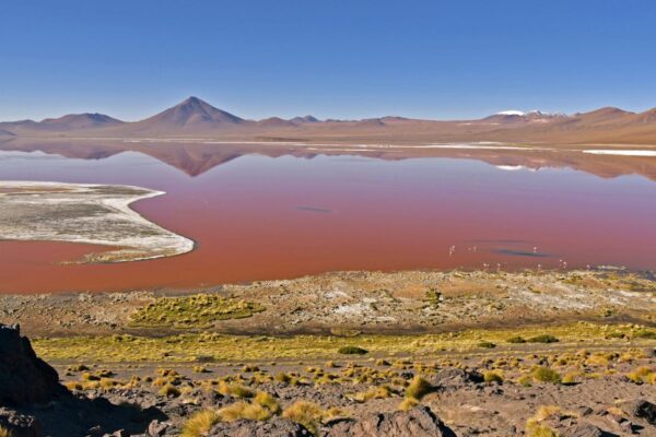 Blutrote Laguna Colorada