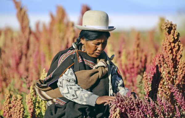 Bolivianische Indigena