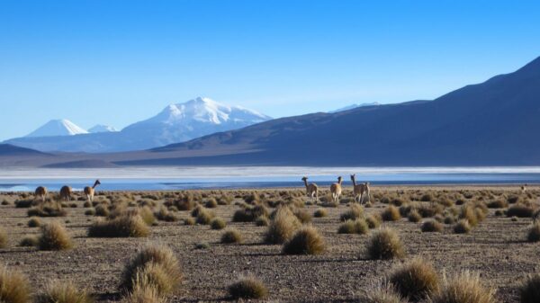 Impressionen der Atacama-Wüste