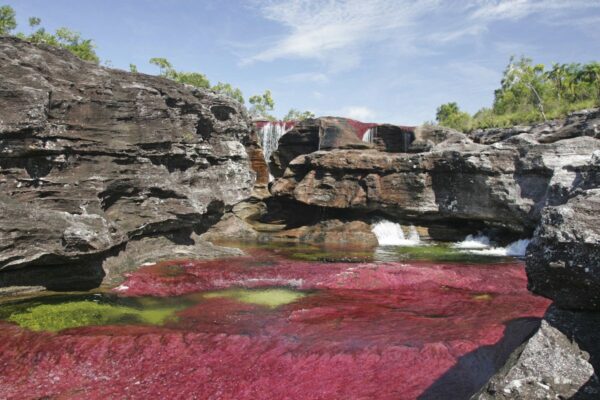Farbenspiel Caño Cristales