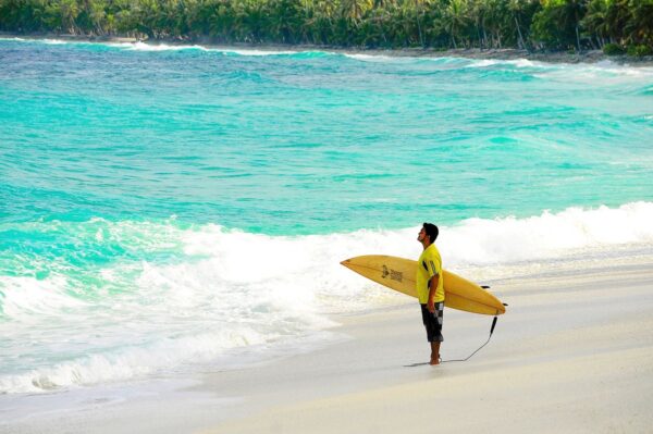 The Surf is up!