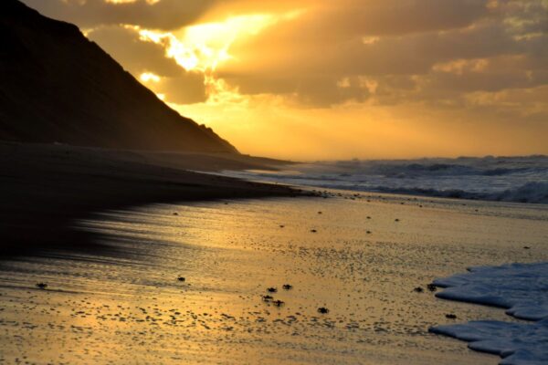 Sonnenaufgang am Strand von Quissico, Inhambane-Provinz