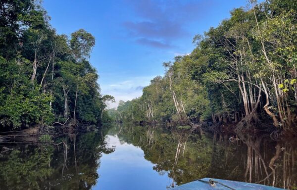 Bootstour in Kinabatangan