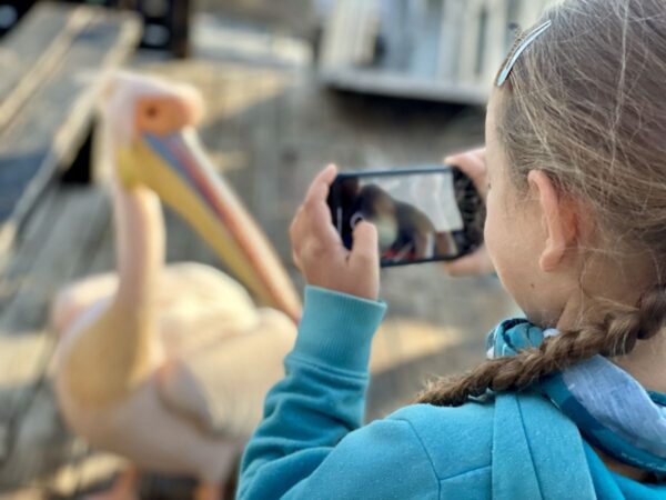 Kinder auf Safari