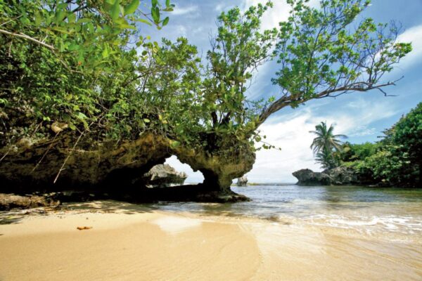 Am Rotfrosch-Strand in Panama