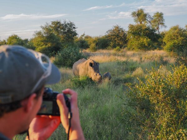 Greater Kruger Nationalpark