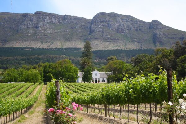 Weinland um Stellenbosch