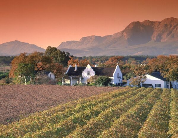 Weinberge um Stellenbosch