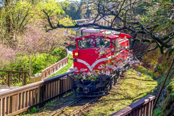 Bergbahn am Alishan