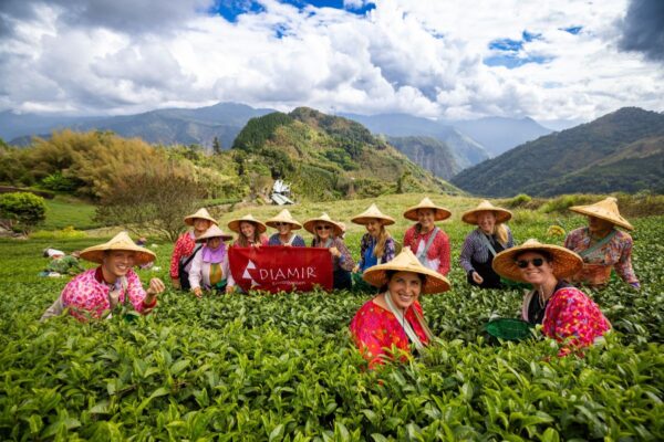 Mit DIAMIR Erlebnisreisen zu den Teeplantagen auf Taiwan