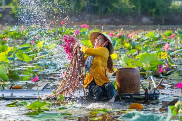 Vietnamesisches Mädchen im Mekong-Delta beim Seerosenpflücken