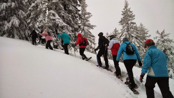 Gruppenreise Österreich | Erlebnisrundreisen.de