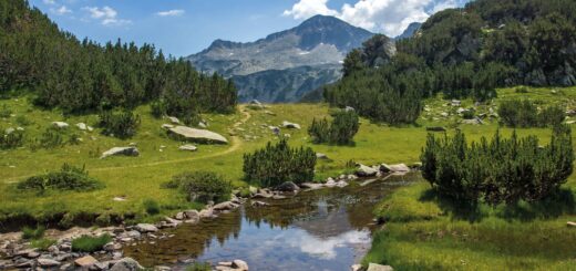 Rundreise Bulgarien: Höhepunkte 2026 | Erlebnisrundreisen.de