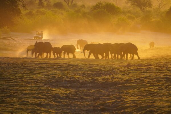 Gruppenreise Botswana | Erlebnisrundreisen.de
