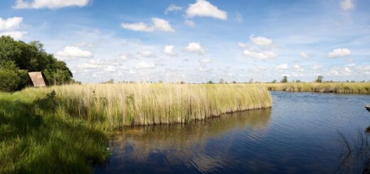 Rundreise Simbabwe, Namibia & Botswana: Höhepunkte mit Caprivi & Victoriafällen 2026 | Erlebnisrundreisen.de