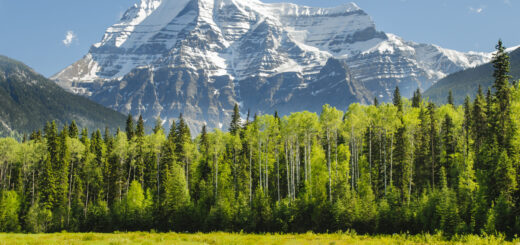Rundreise Kanada: Höhepunkte im Westen 2026 | Erlebnisrundreisen.de