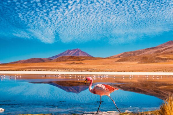 Erlebnis, Abenteuer & Begegnung Chile | Erlebnisrundreisen.de