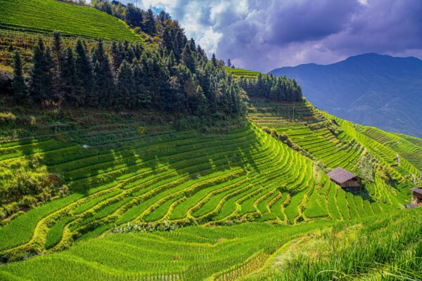China | Erlebnisrundreisen.de