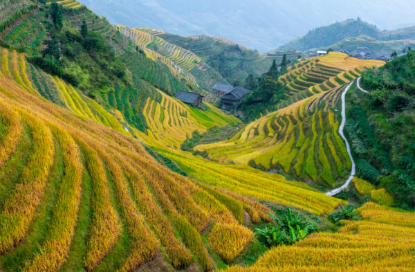 China | Erlebnisrundreisen.de