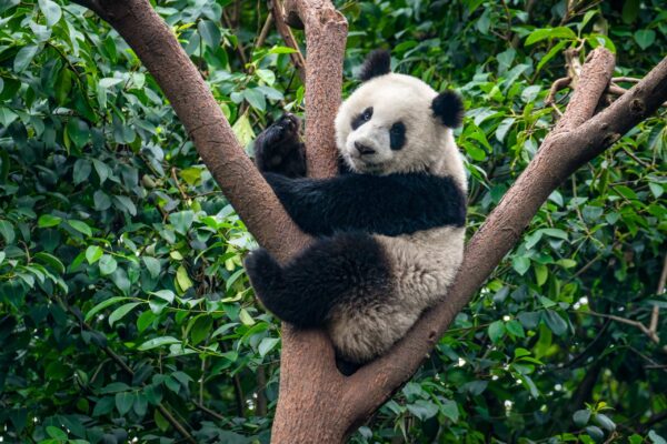 Erlebnis, Abenteuer & Begegnung China | Erlebnisrundreisen.de