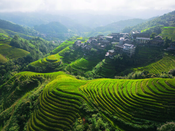 Terrace,In,Longsheng,Guilin,China