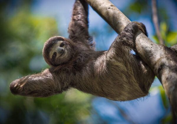 Erlebnis, Abenteuer & Begegnung Costa Rica | Erlebnisrundreisen.de