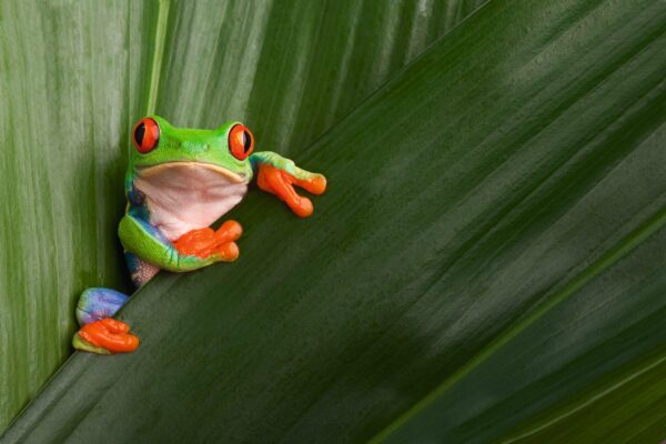 Gruppenreise Costa Rica | Erlebnisrundreisen.de