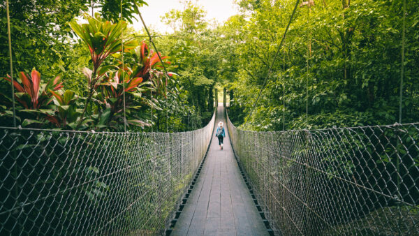 Woman,Walking,On,The,Bridge,In,The,Jungle,Of,Costa