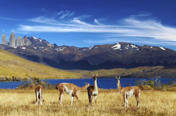 Chile Erlebnisreisen 2026 | Erlebnisrundreisen.de