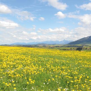Rundreise Allgäu: Vitalurlaub 2026 | Erlebnisrundreisen.de