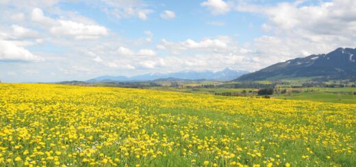 Rundreise Allgäu: Vitalurlaub 2026 | Erlebnisrundreisen.de