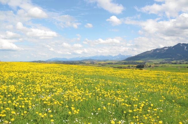 Rundreise Allgäu: Vitalurlaub 2026 | Erlebnisrundreisen.de