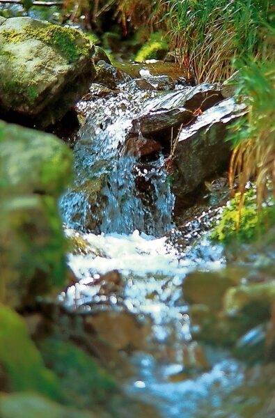 Entspannung & Wellness Deutschland | Erlebnisrundreisen.de