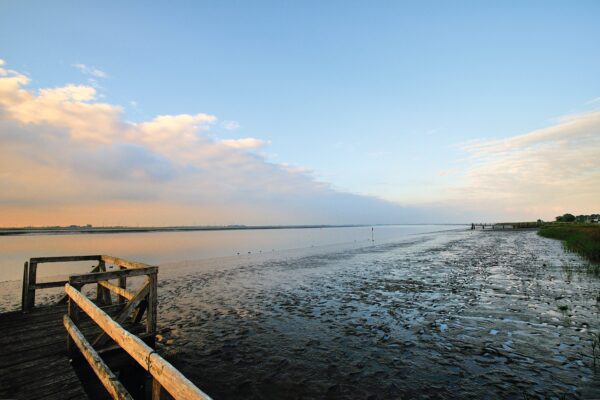 Gruppenreise Wattenmeer / Nordsee: Aktivurlaub 2026 | Erlebnisrundreisen.de