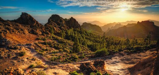Rundreise Gran Canaria: Wandern & Erholung 2026 | Erlebnisrundreisen.de
