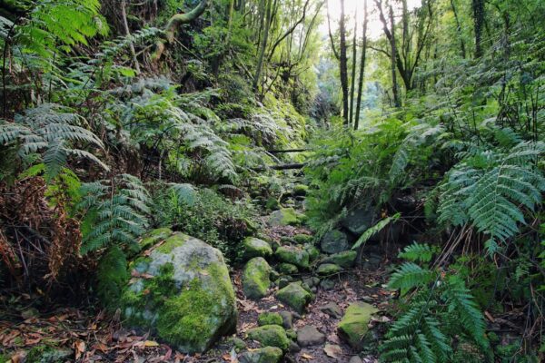 Wandern & Trekking Spanien | Erlebnisrundreisen.de