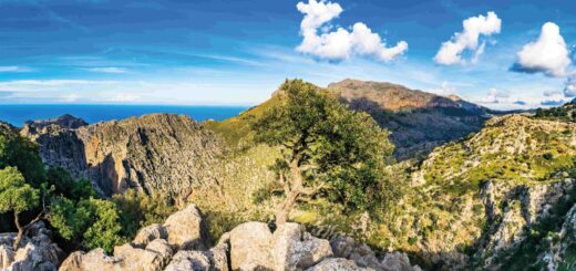 Rundreise Mallorca: Wandern & Genuss im Norden 2026 | Erlebnisrundreisen.de