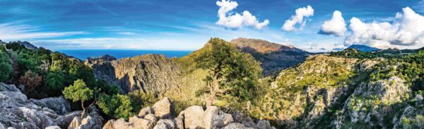 Rundreise Mallorca: Wandern & Genuss im Norden 2026 | Erlebnisrundreisen.de