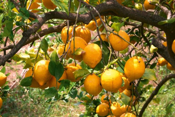 Spanien | Erlebnisrundreisen.de