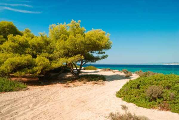 Gruppenreise Chalkidiki: Wandern & Kultur 2026 | Erlebnisrundreisen.de