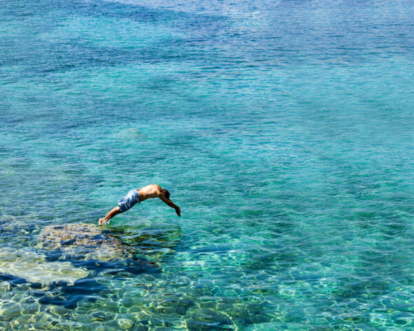 Diving,Into,The,Sea.