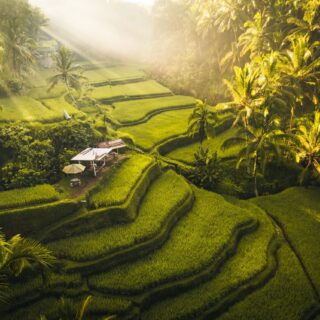 Rundreise Bali / Indonesien: Deluxe 2026 | Erlebnisrundreisen.de