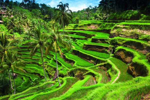Gruppenreise Bali / Indonesien: Höhepunkte 2026 | Erlebnisrundreisen.de