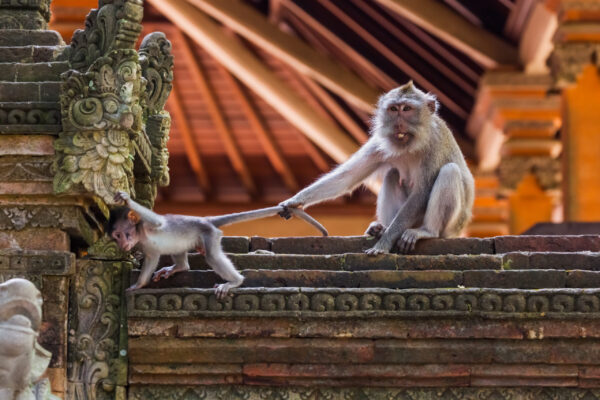 Gruppenreise Indonesien | Erlebnisrundreisen.de