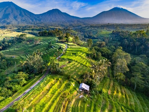 Landscape,View,Of,Jatiluwih,Rice,Terraces,In,Penebel,District,,Tabanan