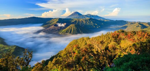 Rundreise Sumatra, Java & Bali / Indonesien: Die ausführliche Reise 2026 | Erlebnisrundreisen.de
