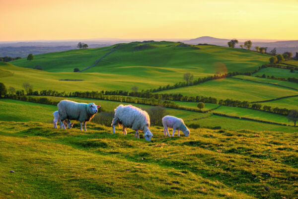 Studienreisen Irland | Erlebnisrundreisen.de