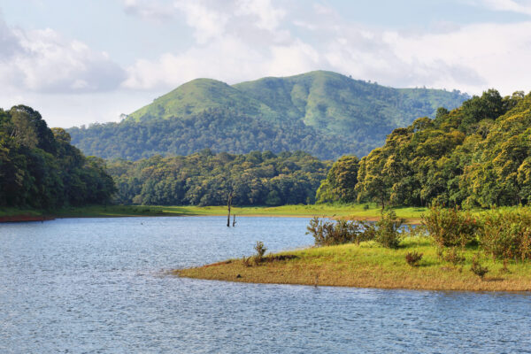 Periyar,Lake,In,Periyar,National,Park,,Kerala,,South,India
